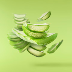 Aloe vera isolated on white background