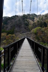 鬼怒川縦岩吊り橋