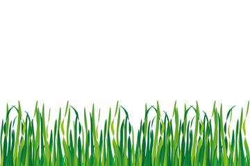 background of grass in different shades of green