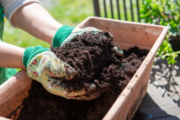 woman with handful of soil in garden