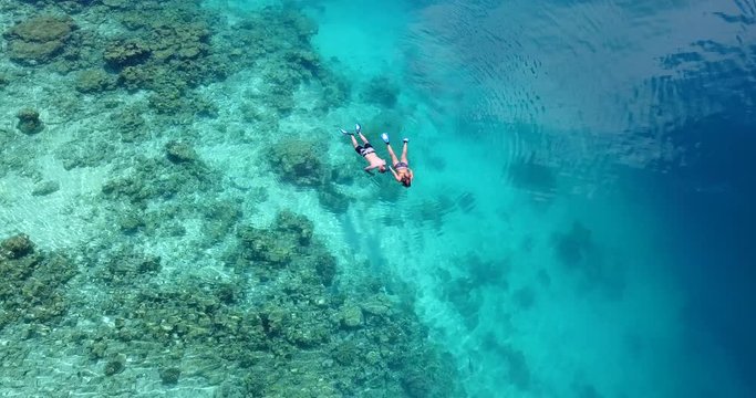 Closing in bird eye view of a young couple snorkeling together over a coral reef in crystal clear water of Maldives. The camera slowly orbits around the snorkelers.