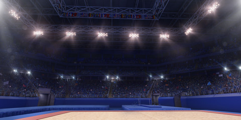 Professional gymnastic gym. Tribunes with fans. 3D illustration