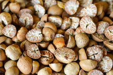 betel nut background