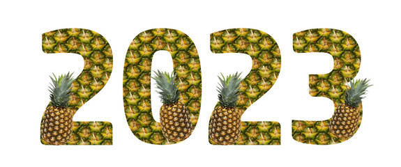 2023 made from pineapple on a white background. Tropical fruit pineapple diet summer food