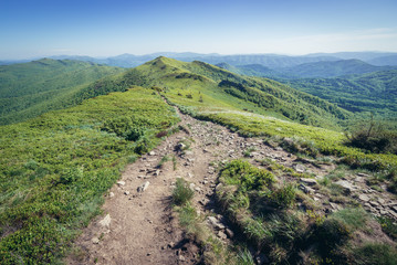 Fototapeta na wymiar View from peak of Halicz mountain in Bieszczady National Park, Subcarpathian Voivodeship of Poland