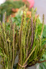 Natural food from forest and mountains in Greece green wild asparagus on farmer market