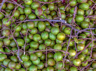 A heap of Spanish limes. Photographed at the local traditional market of the colonial town of Villa de Leyva in the Andean mountains of central Colombia.