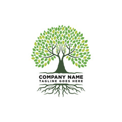 Root Of The Tree Logo Design Inspiration