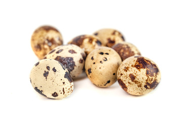 quail eggs isolated on white background. close up