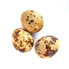 quail eggs isolated on white background. close up