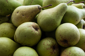 Pile of green ugly pears.