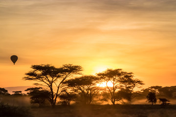 Fototapeta na wymiar Hot air balloon at sunrise over the African savanna