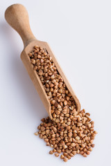 Grain buckwheat on a white acrylic background