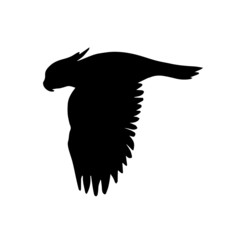 Vector flat black silhouette of flying cockatoo parrot isolated on white background  © Sweta
