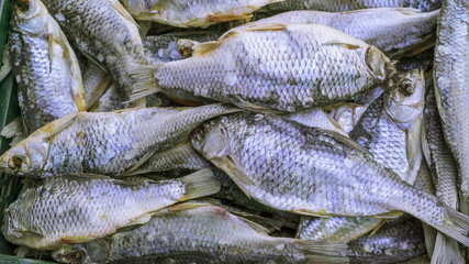 18172_Closer_look_of_the_salted_dried_fish_on_the_market.jpg