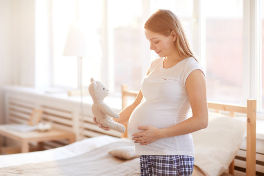 Portrait of beautiful pregnant woman stroking belly and holding teddy bear toy standing in cozy bedroom  lit by warm sunlight, copy space