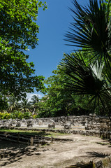 Fototapeta premium San Miguelito Archaeology Site in Cancun, Mexico