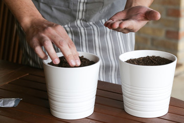 Man seeding herbs, hands seeding seeds into flower pots