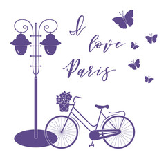 Bicycle, lantern, butterflies. I love Paris.