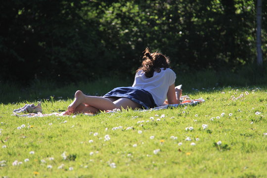 Lecture au soleil printanier
