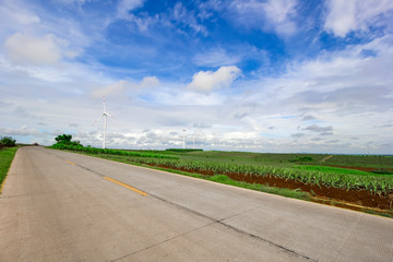 Highway pineapple farms in wind turbines