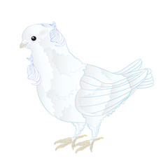 Small bird cute  ornamental white dove on a white background  vintage vector illustration editable Hand draw