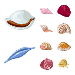 Naklejka premium Vector illustration of seashell and mollusk symbol. Set of seashell and seafood stock vector illustration.