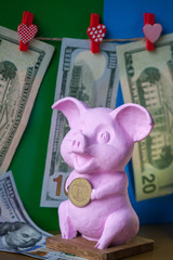 Pink Pig holding hryvna coin. Pig with hryvna coin against the background US dollars background. UAH and USD