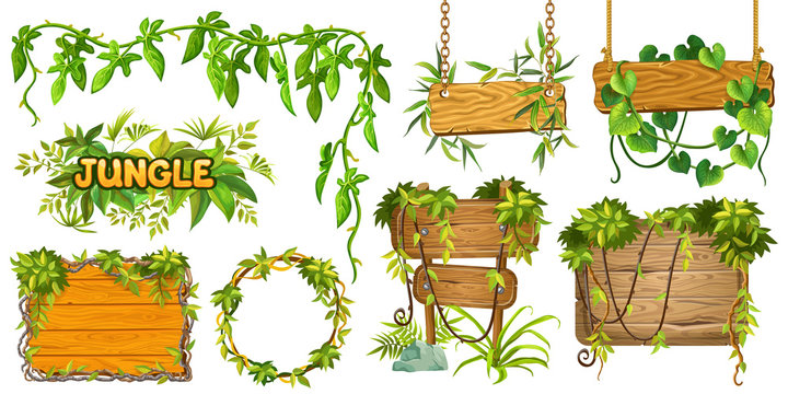 Fototapeta Set game wooden boards and branches liana and tropical leaves. Isolated gui elements plants of jungle and cartoon panels with space for text . Vector illustration on white background.