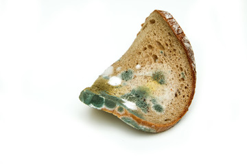The picture of a mouldy bread. Rotten and uneatable. Isolated on white background. 