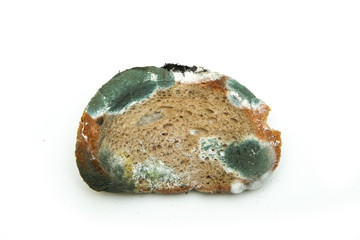 The picture of a mouldy bread. Rotten and uneatable. Isolated on white background. 
