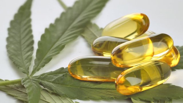 medical cannabis cbd oil, cannabis essential oil container.