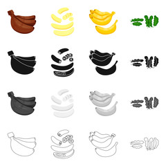 Vector design of natural and vegetarian icon. Collection of natural and eating vector icon for stock.