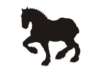 Pferd