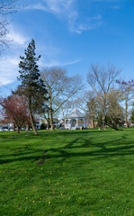 Gazebo in the Distance