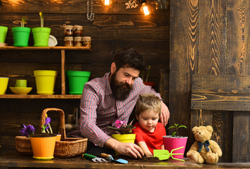 Father and son. Flower care watering. Soil fertilizers. bearded man and little boy child love...