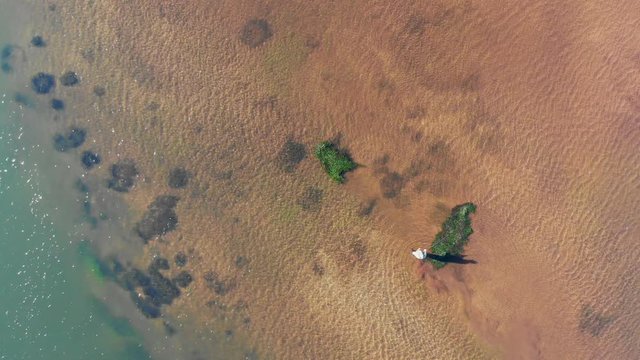 Drone aerial view of fly fisherman casting for trout in a lake in New Zealand