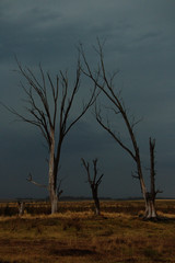 EPECUEN