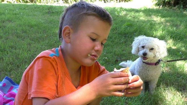 Beautiful boy eats an ice-cream beside cute small dog sitting on the grass in the shade.