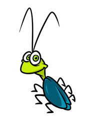 Little comic insect cockroach animal character cartoon illustration isolated image