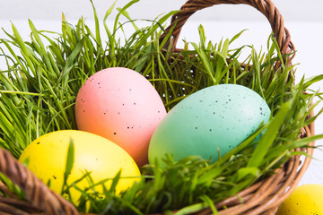 Closeup view of colorful pastel eggs. Easter decoration concept. Basket with painted eggs for Easter hunt