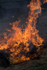 grass is burning on the street. the fire is very big. ordinary resident trying to extinguish the fire with a pitchfork