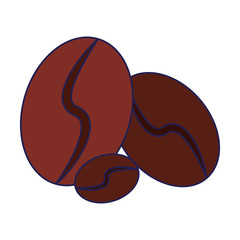 Coffee beans fresh natural isolated blue lines