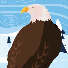 beautiful bald eagle animal in snowscape