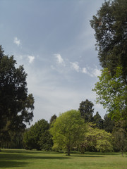 Giardino inglese. Reggia di Caserta