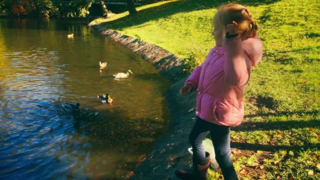 A medium shot of a moving camera as a girl throws bread into a pond feeding hungry ducks on a warm afternoon.