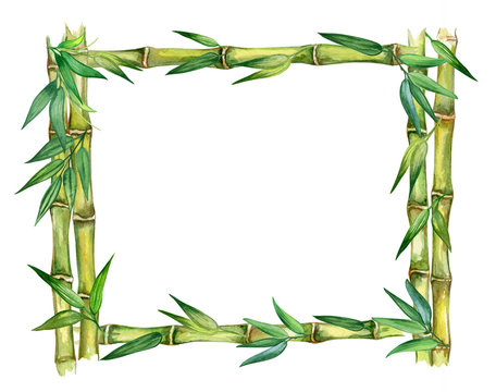 Bamboo frame isolated on white background. Bamboo with green leaves.  Hand painted watercolor illustration. Realistic botanical art. Template
