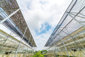 Greenhouse greenhouses features and the blue sky white clouds