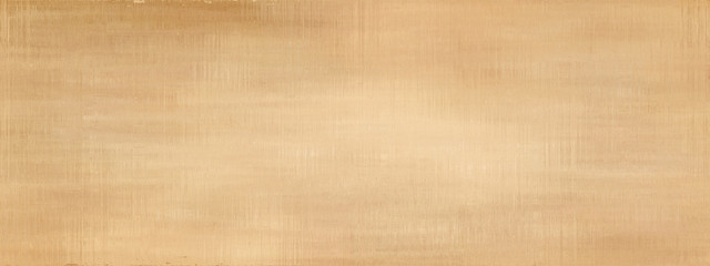 Grunge panoramic scratched texture.