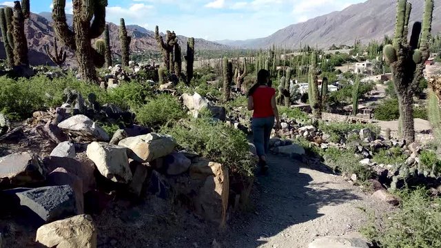 Beautiful brunette tourist walking through the paths of the pre Inca ruins of Pucara de Tilcara on a sunny day. Tilcara. Jujuy. Argentina. Flat plane
